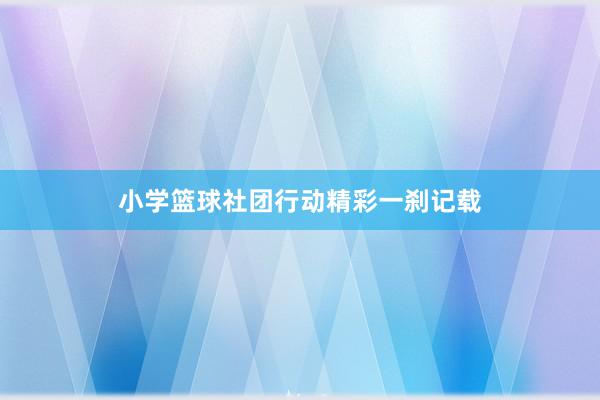 小学篮球社团行动精彩一刹记载