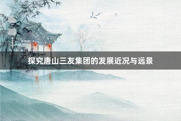 探究唐山三友集团的发展近况与远景